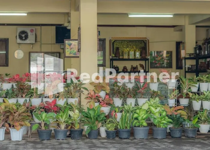 Vandhela Homestay Syariah Mitra Reddoorz Surabaya